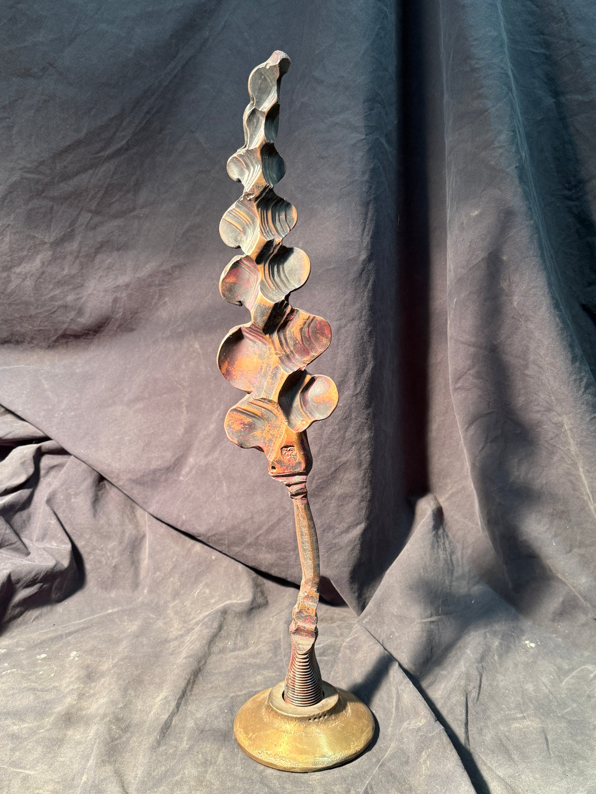 Pienza copper tree