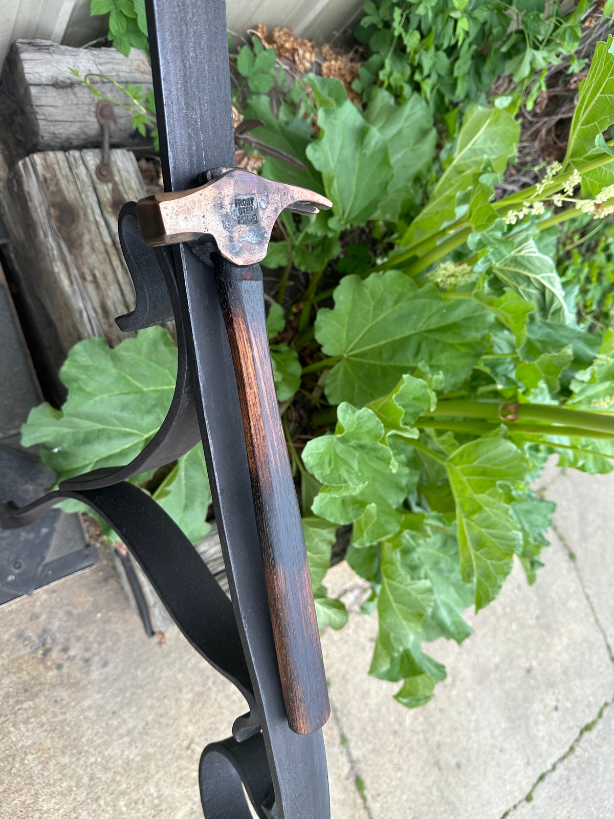 Carpenter's claw hammer