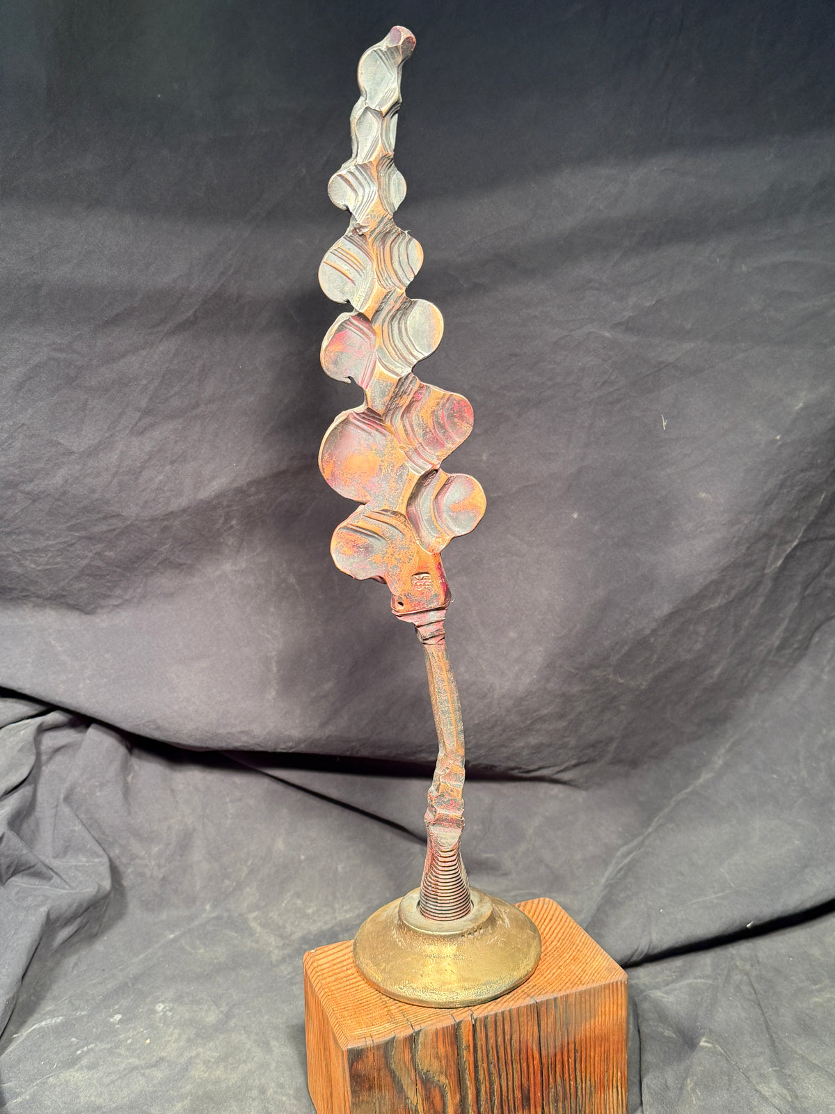 Pienza copper tree