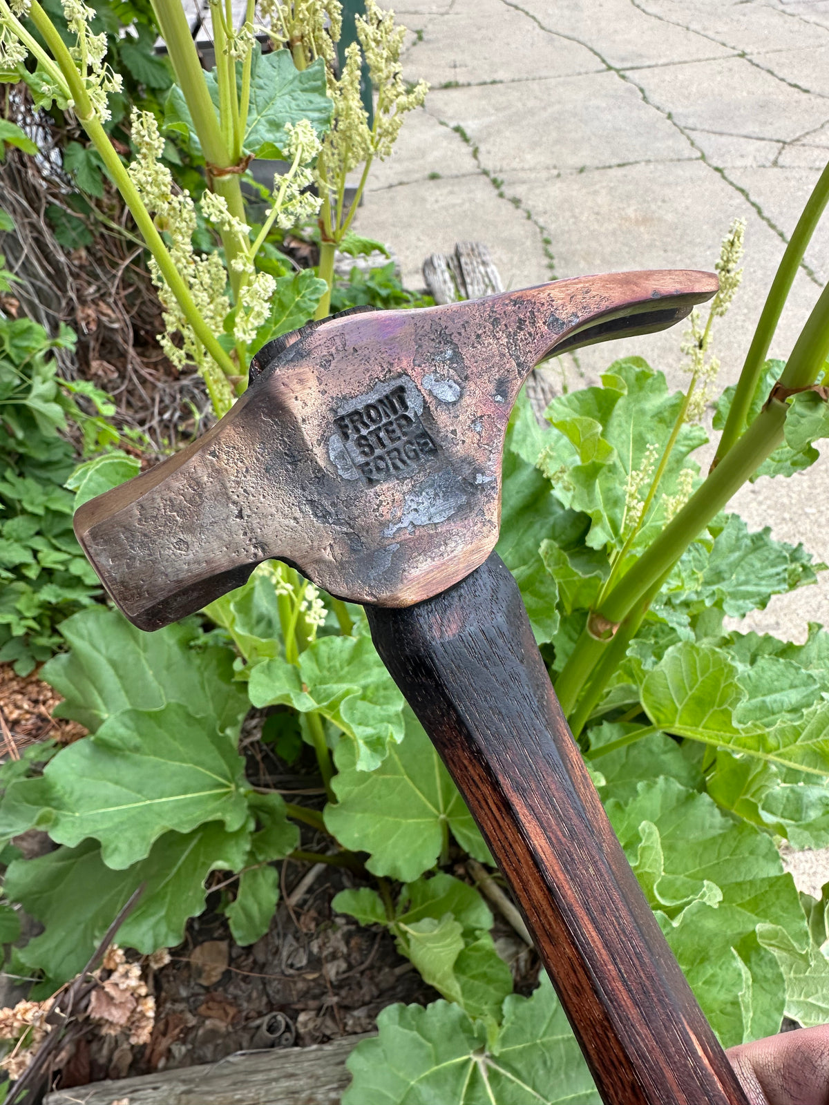 Carpenter's claw hammer
