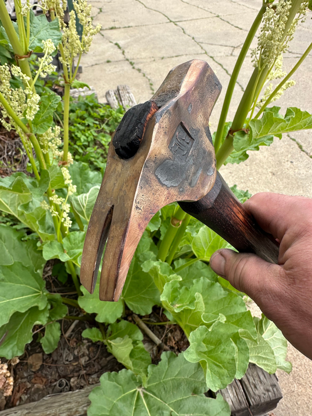 Carpenter's claw hammer