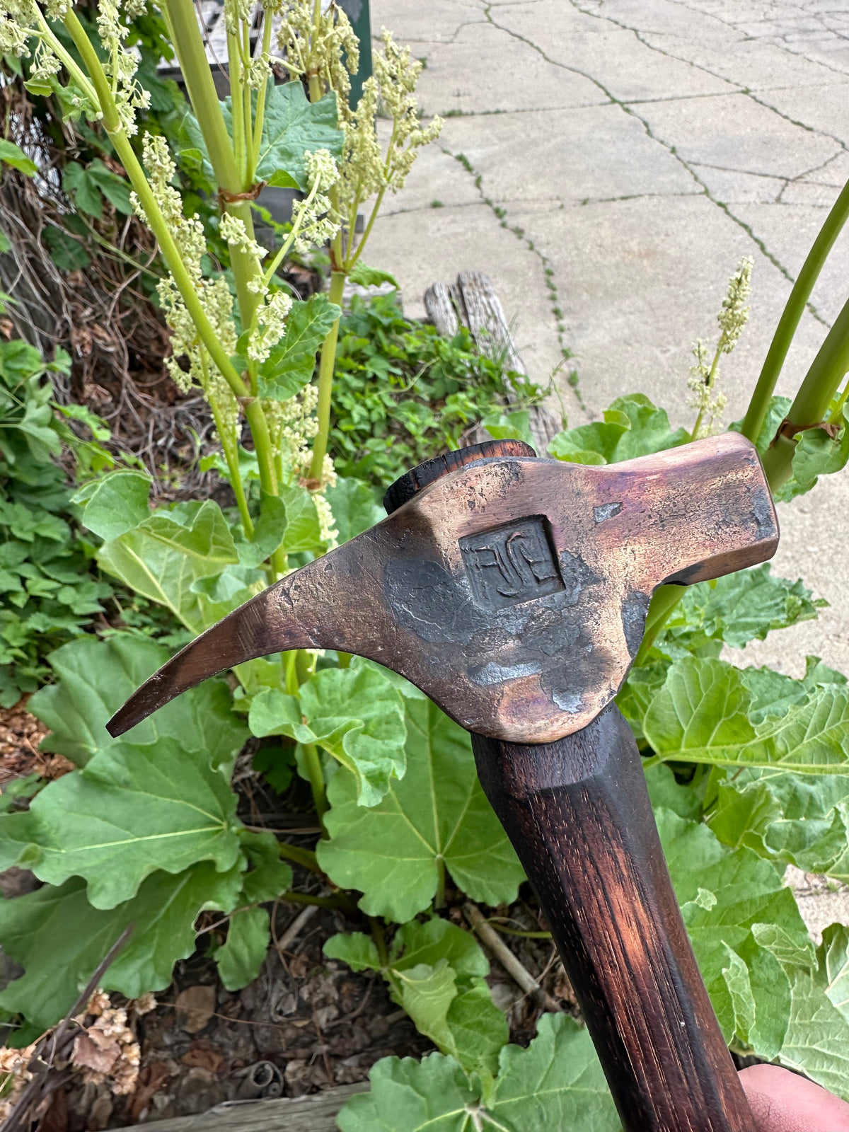 Carpenter's claw hammer