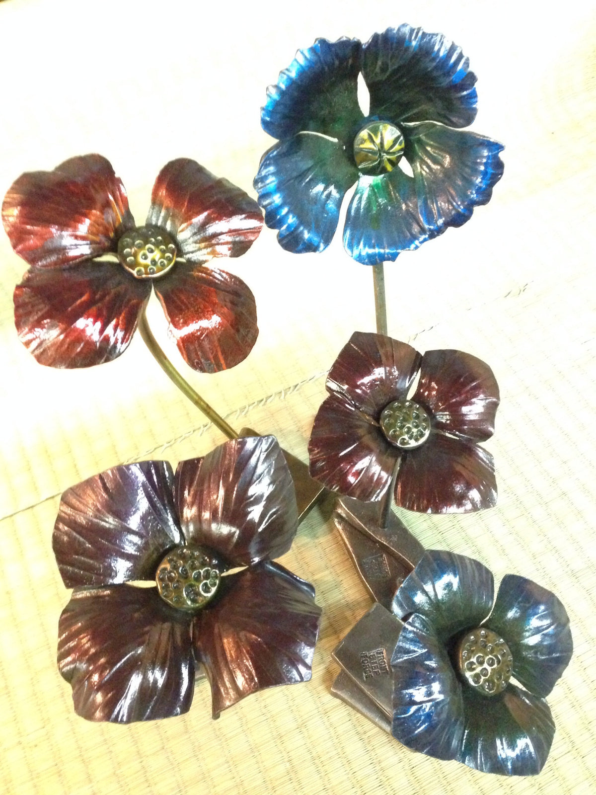Poppy
