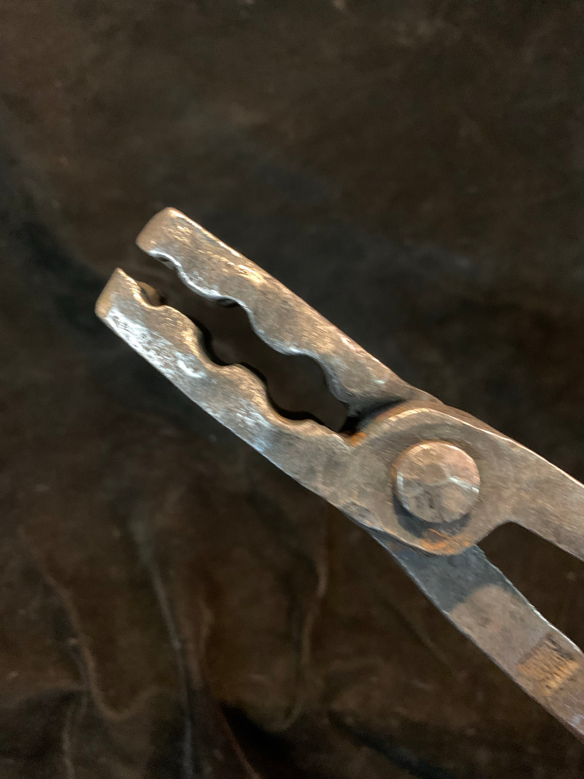 Wolfs jaw tongs - Heritage grade