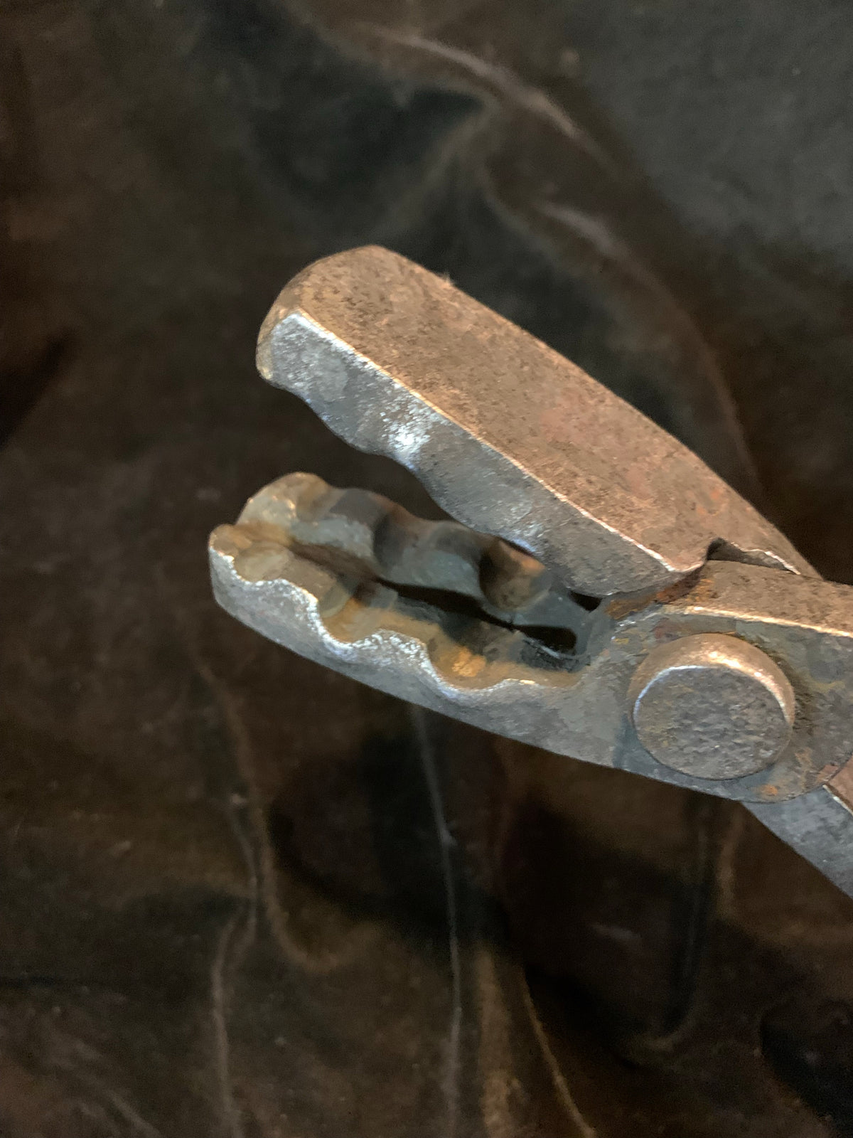 Wolfs jaw tongs - Heritage grade